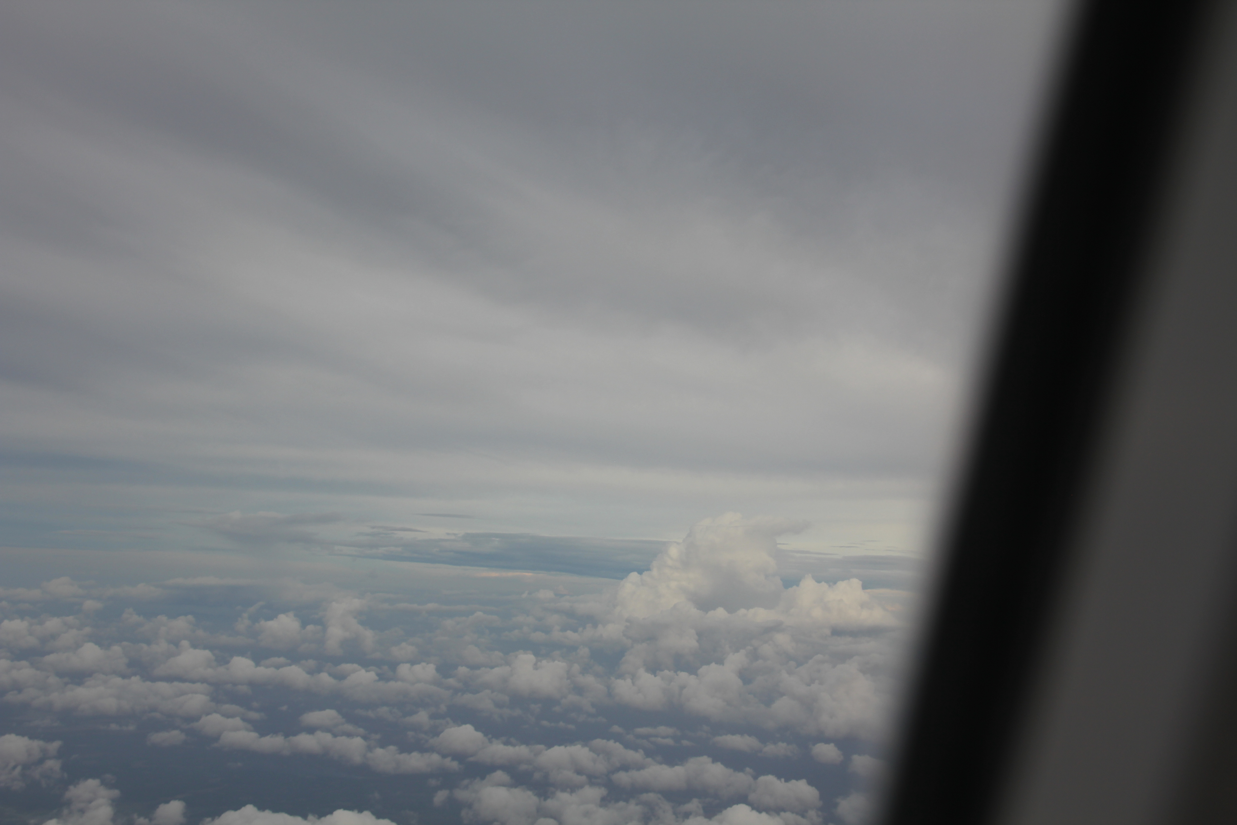IMG 9288